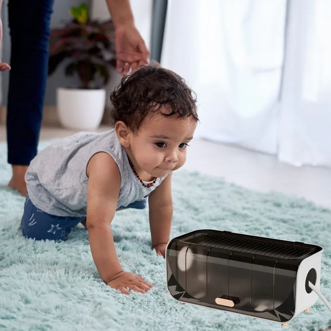 CACHE CABLE MODERNE & BRANCHÉ | PURCALM™